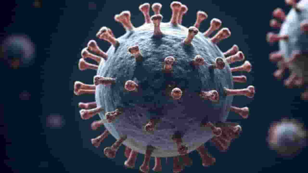 Covid 19 cases in india