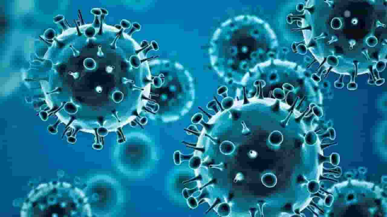 coronavirus