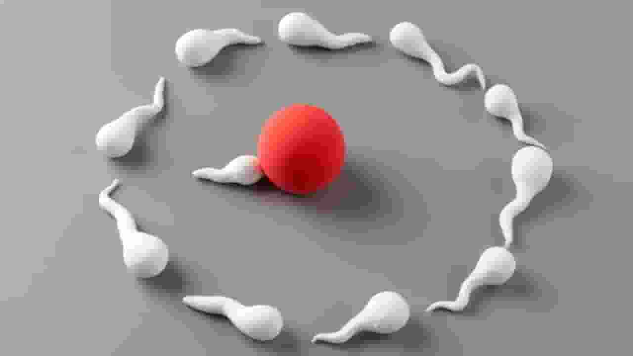 what is egg freezing