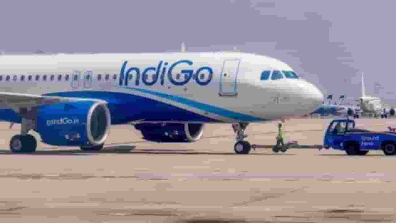 Indigo Flight