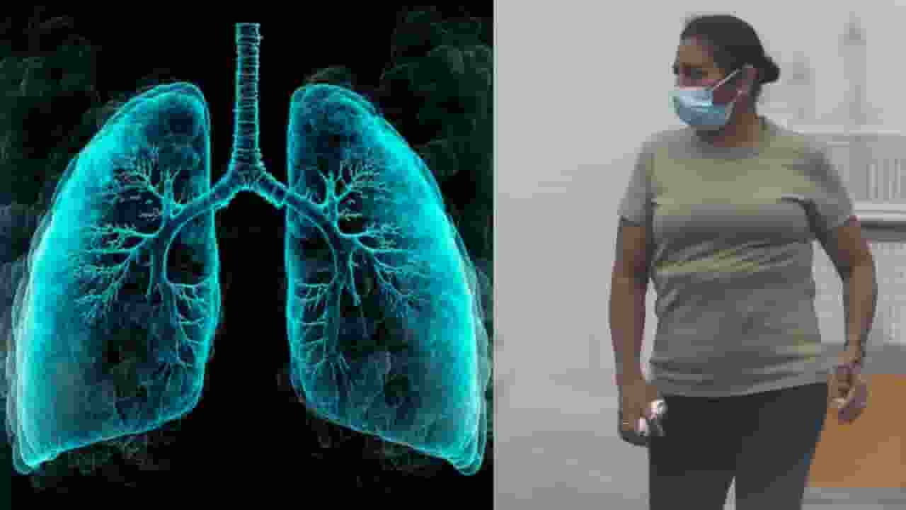pollution affects lungs