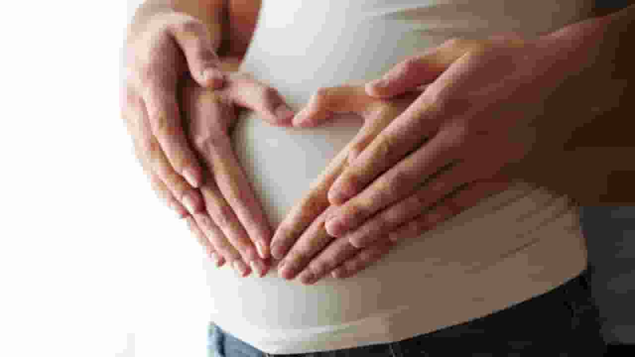 UN fertility rate report on 14 countries 