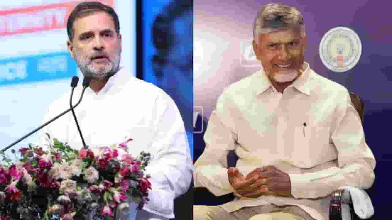 Rahul Gandhi and Chandrababu Naidu
