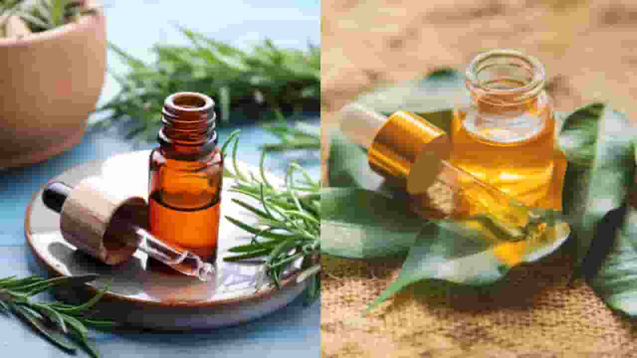 Rosemary Vs Teatree Oil