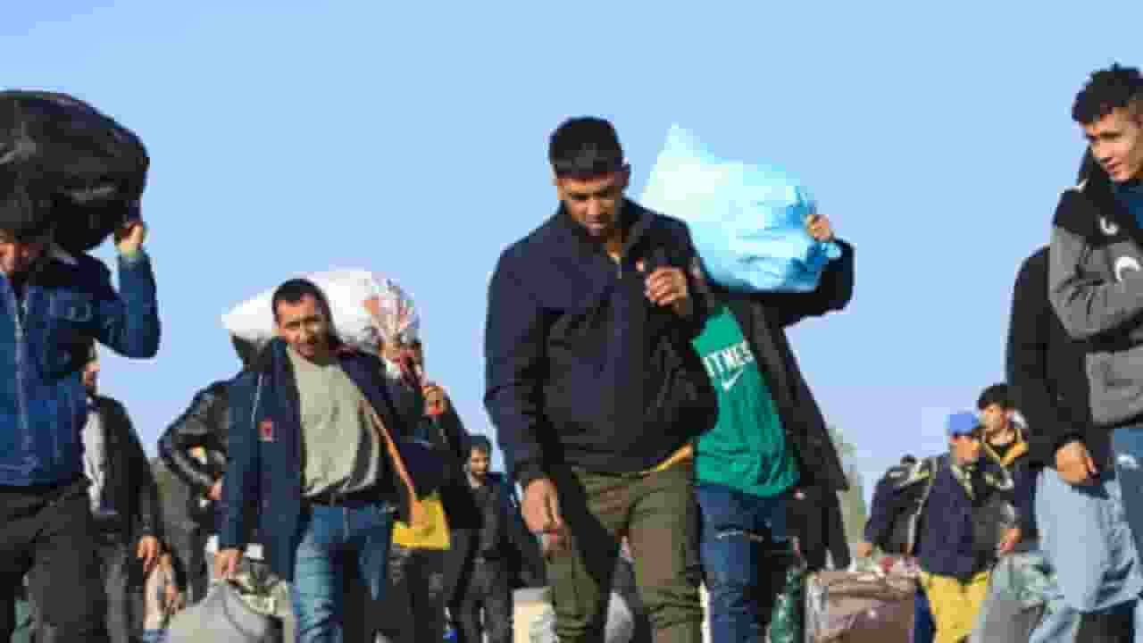 Representational Picture