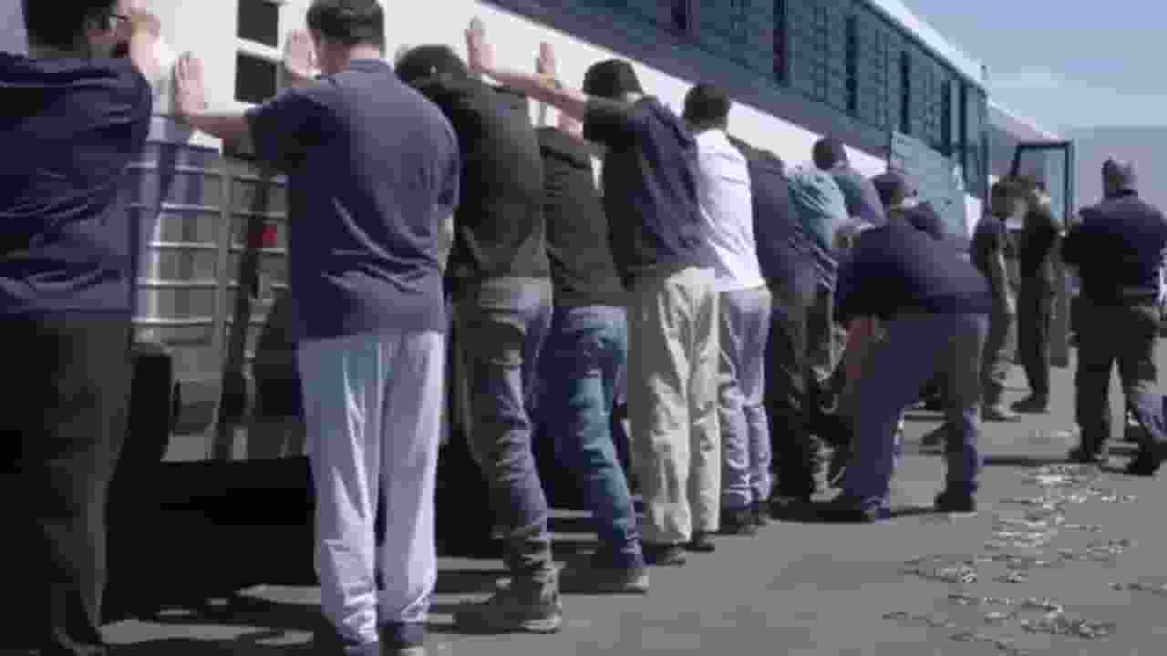 georgia ice raid