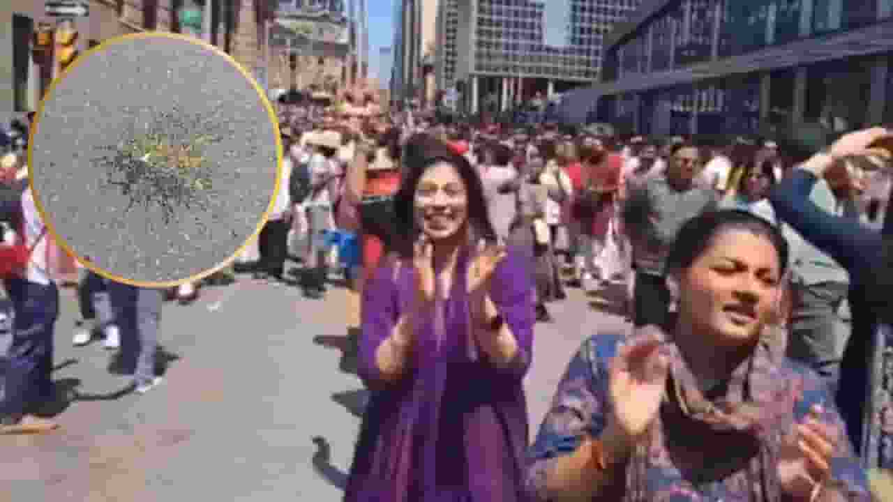 rath yatra canada