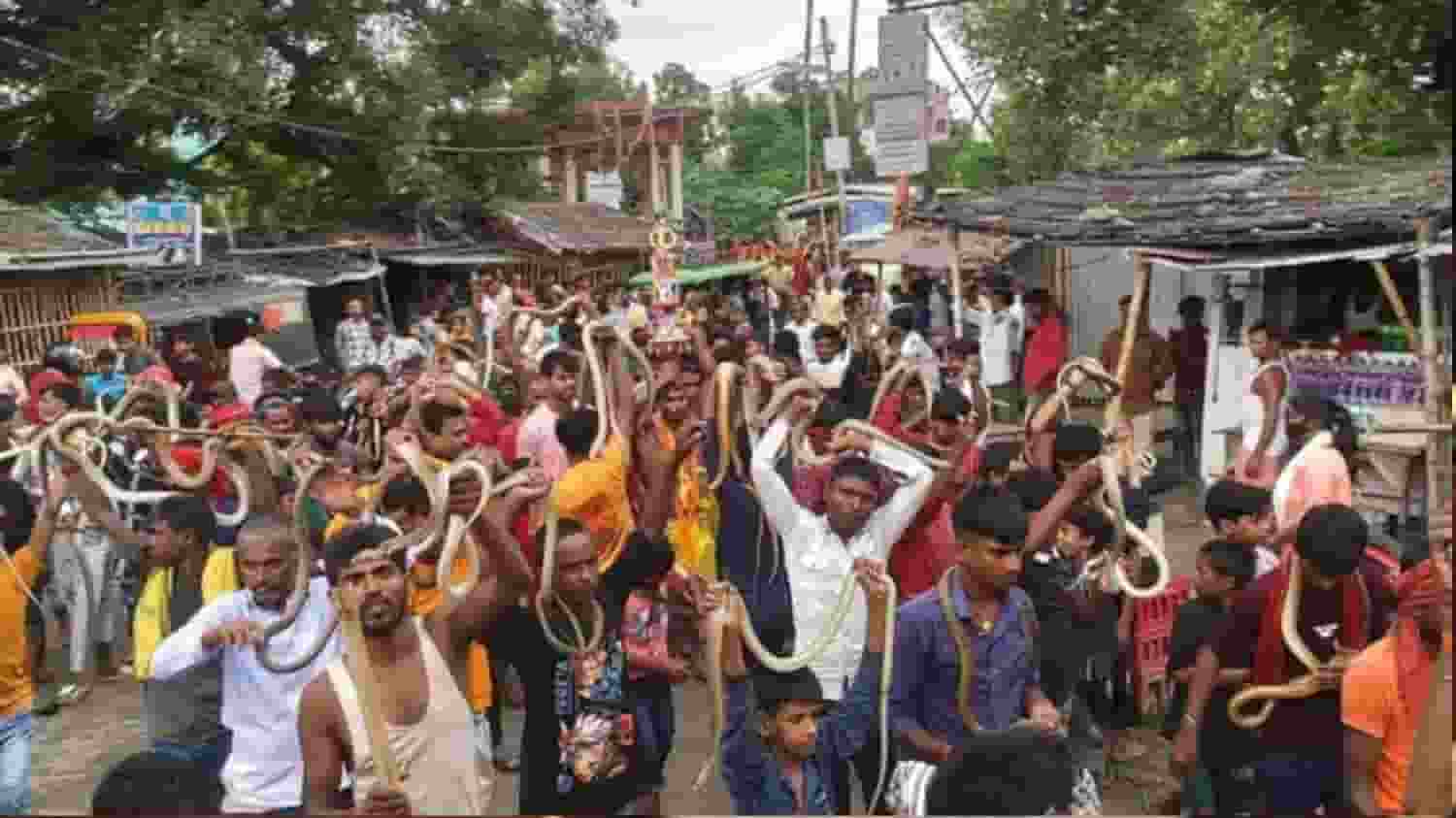 Snake Fair in Bihar