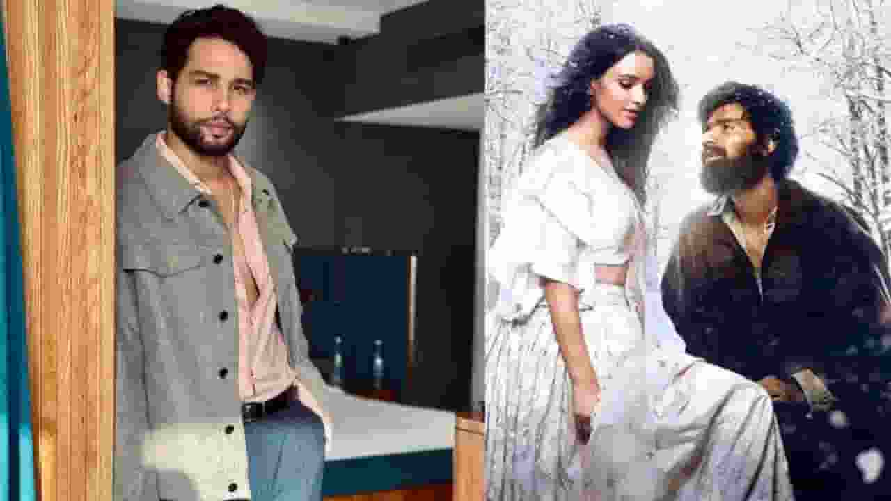 Siddhant Chaturvedi rejected Laila Majnu