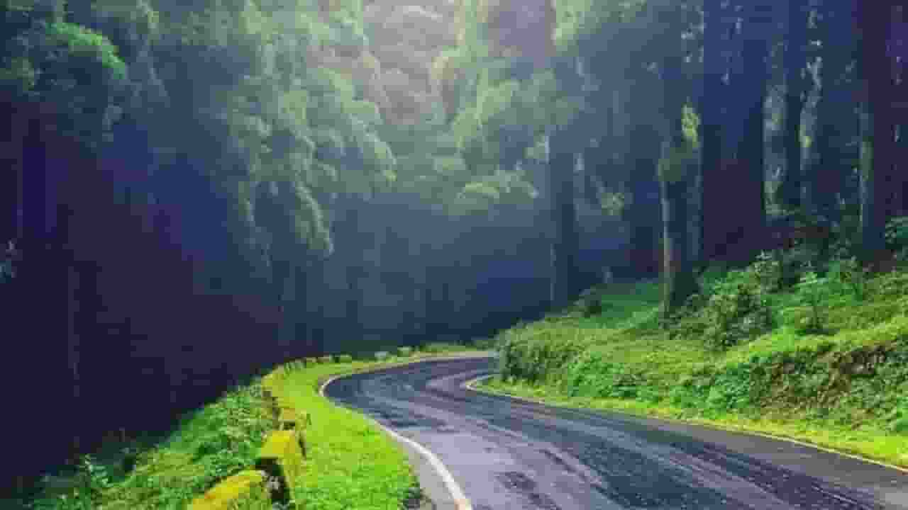 दार्जिलिंग शहर की क्या है खासियत, क्यों घूमने जाते हैं लोग? Darjeeling Natural Beauty