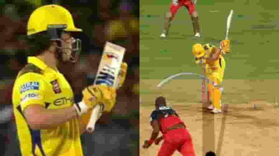 डेवाल्ड ब्रेविस के साथ सरेआम बेईमानी, अंपायर ने रिव्यू लेने से रोका! Dewald Brevis DRS Controversy