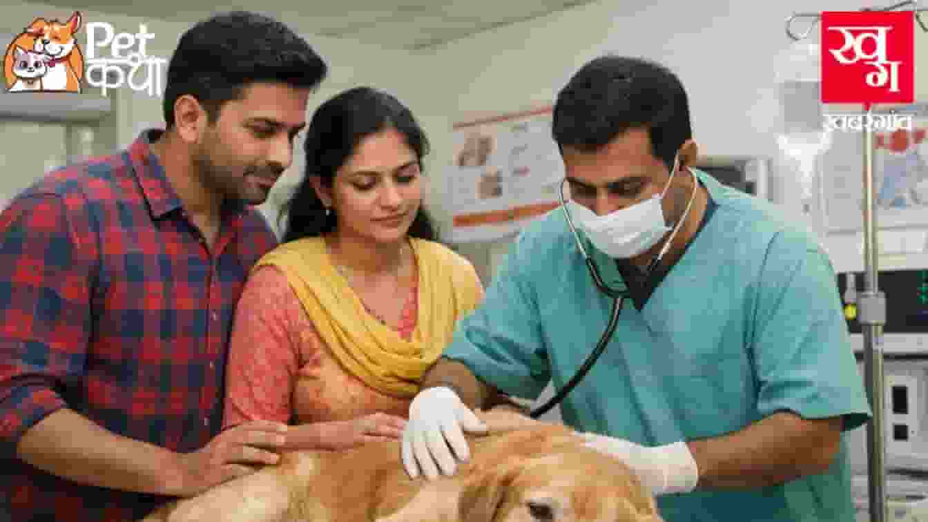 auther news Representative Image